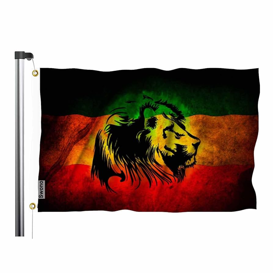 アート・デザイン・音楽 LARGER THAN LIFE Black Flag Memorabilla Amazon.com : US And Mexico Friendship Black Flag 3x5 ft